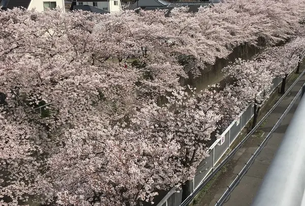 神田川