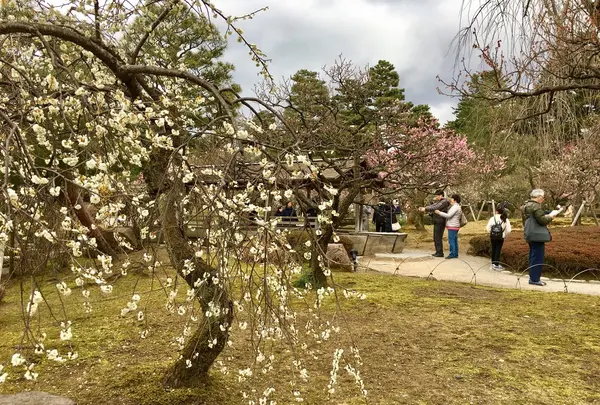 兼六園