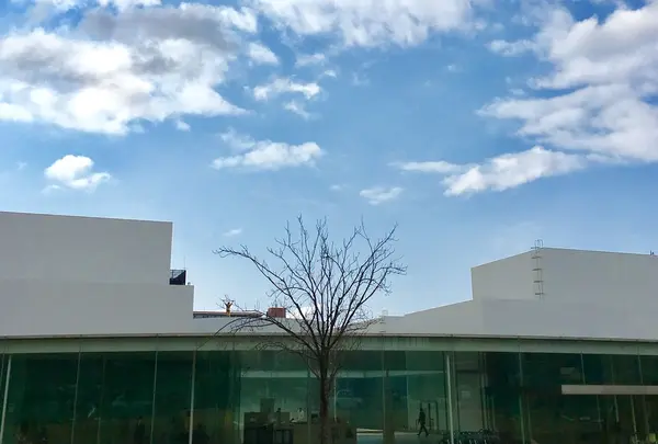金沢21世紀美術館