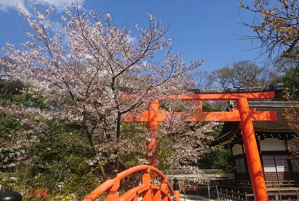 下鴨神社（賀茂御祖神社）