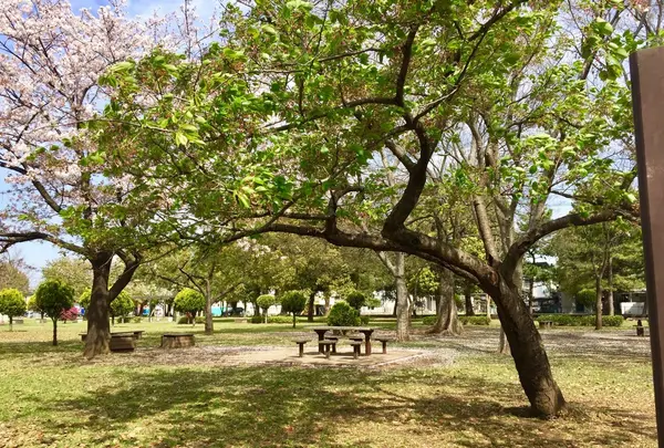 篠崎公園