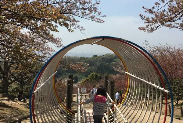 種松山公園西園地の写真・動画_image_229546