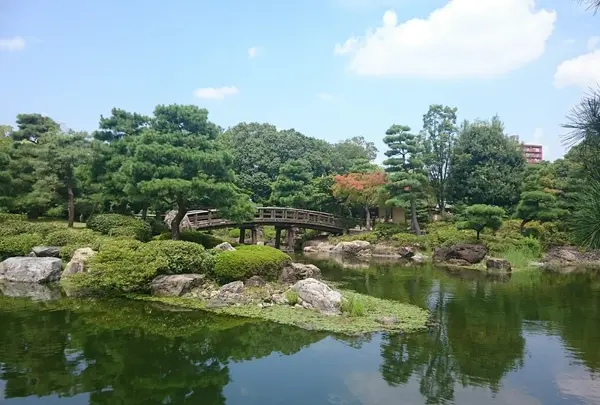 白鳥庭園の写真・動画_image_230101