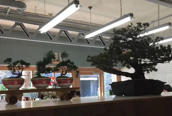 deli fu cious / デリファシャス