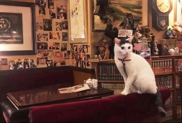 カフェアルル