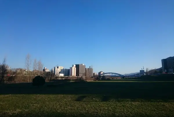 豊平川の写真・動画_image_231020