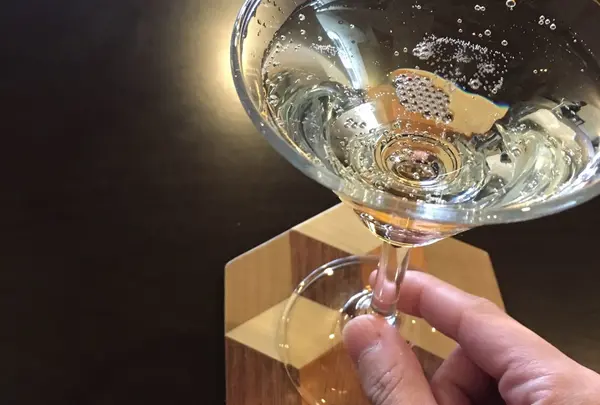 箱根エレカーサ