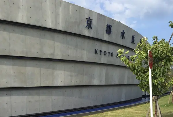 京都水族館1日目