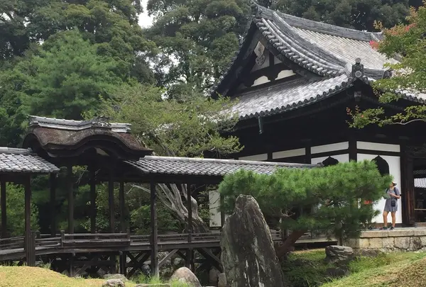 高台寺の写真・動画_image_232850