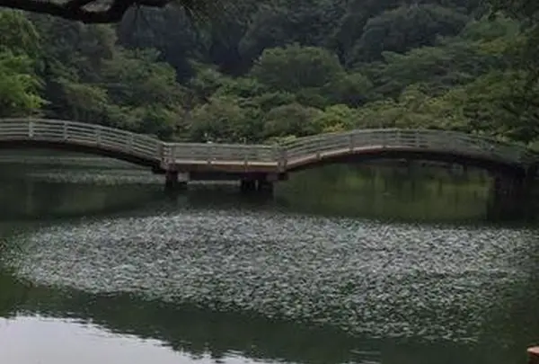 薬師池公園