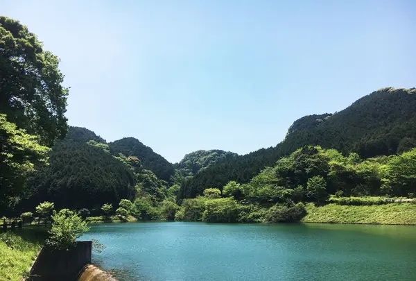 薬王寺水辺公園の写真・動画_image_233311