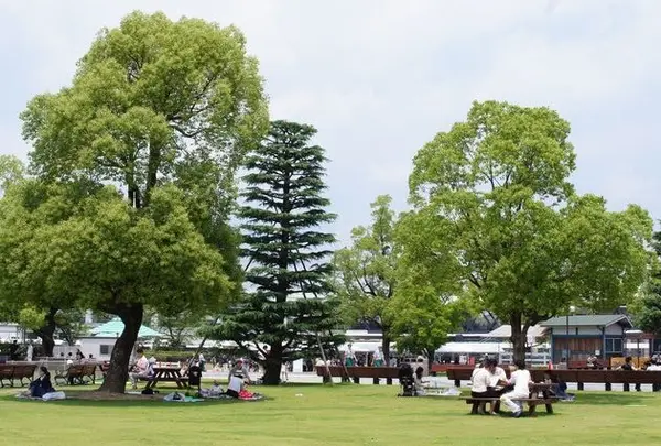 みどりの広場