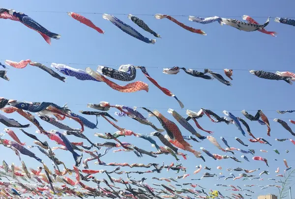 高槻市鯉のぼりフェスタの写真・動画_image_233985