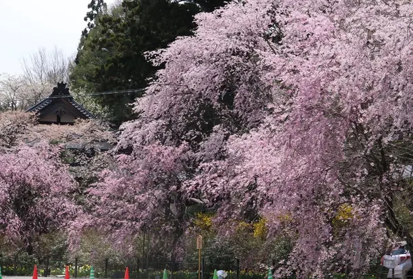 光前寺
