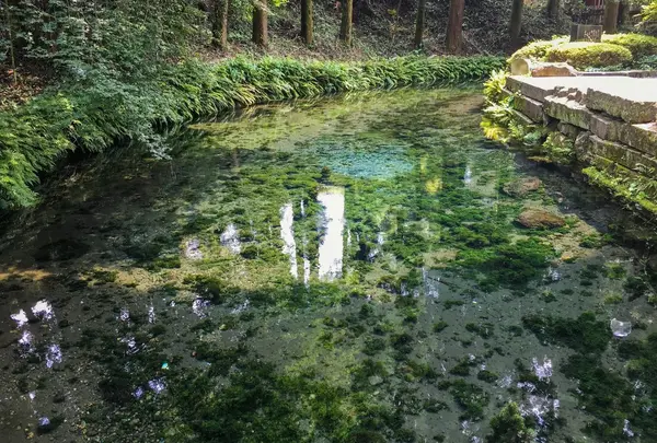 白川水源