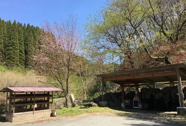 立岩水源公園の写真・動画_image_234144