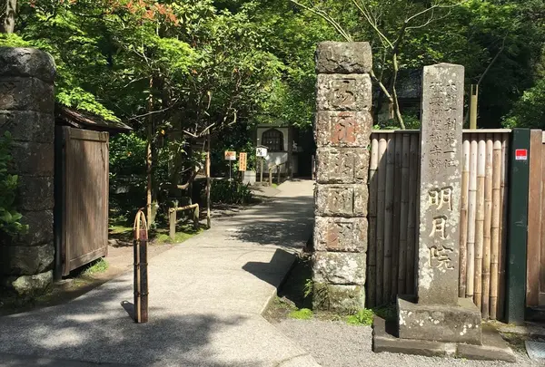 明月院（あじさい寺）