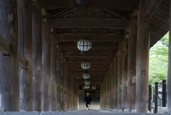長谷寺の写真・動画_image_234388