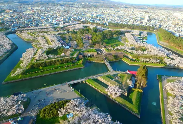 五稜郭公園