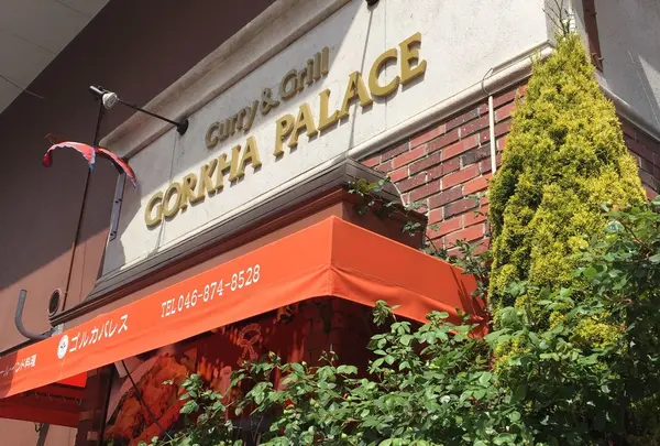 ネパール・インド料理 ゴルカパレス（GORKHA PALACE）の写真・動画_image_234458