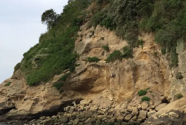猿島