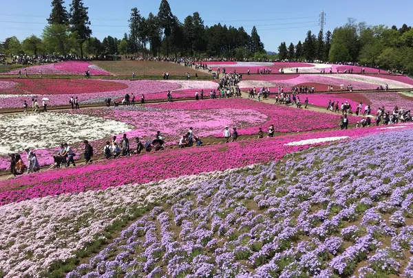 羊山公園