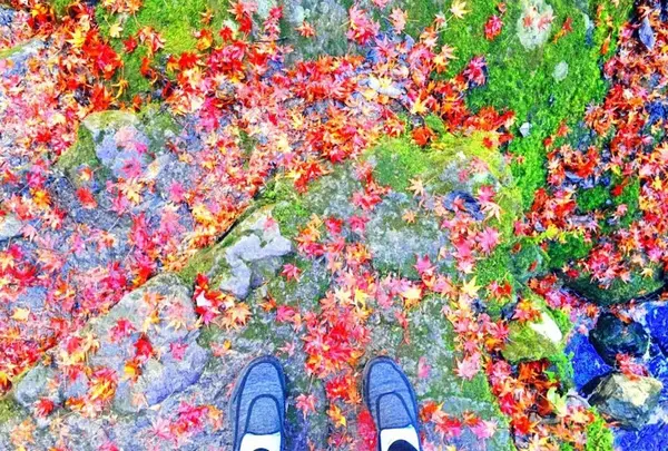 神戸岩の写真・動画_image_234712