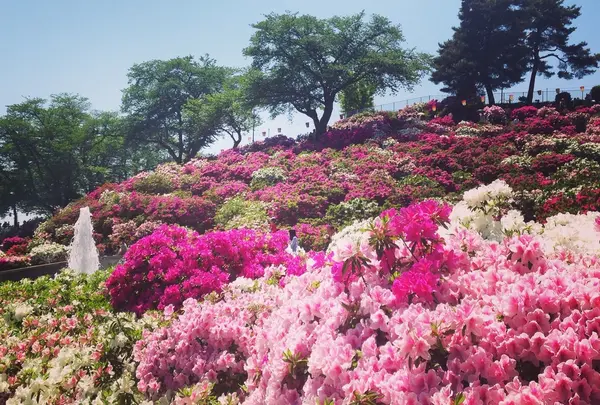 西山公園