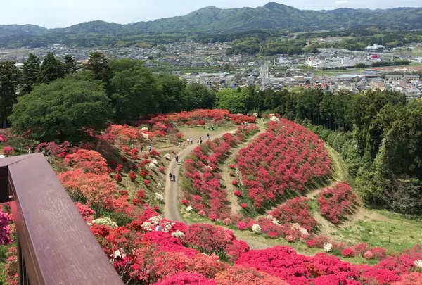 笠間つつじ公園