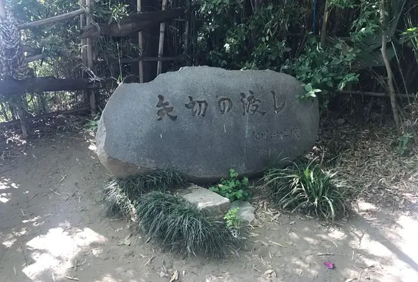矢切の渡しの写真・動画_image_235088