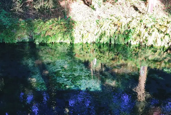 白川水源