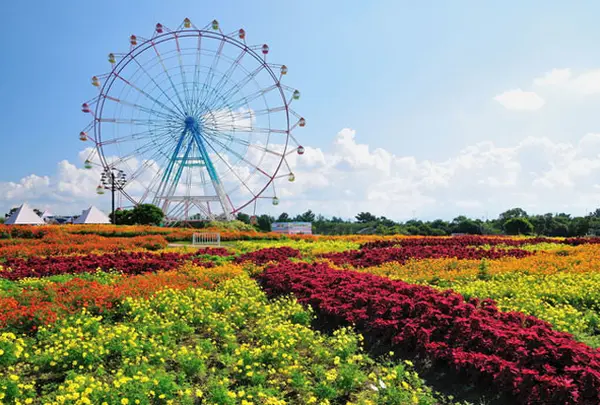 海の中道海浜公園