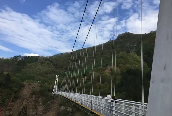 上野スカイブリッジの写真・動画_image_235293