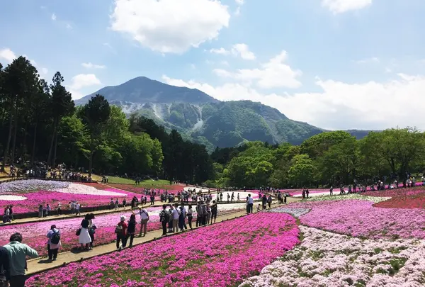 羊山公園