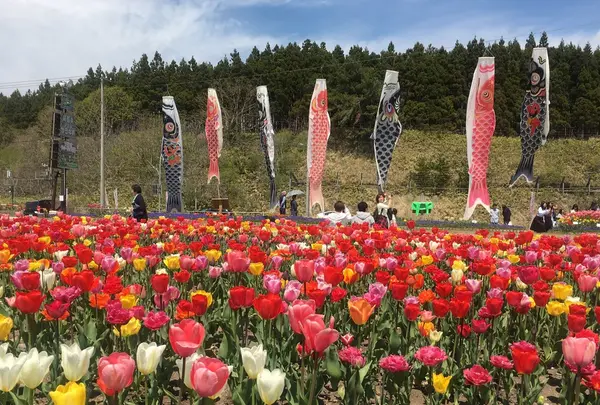 サラキ岬