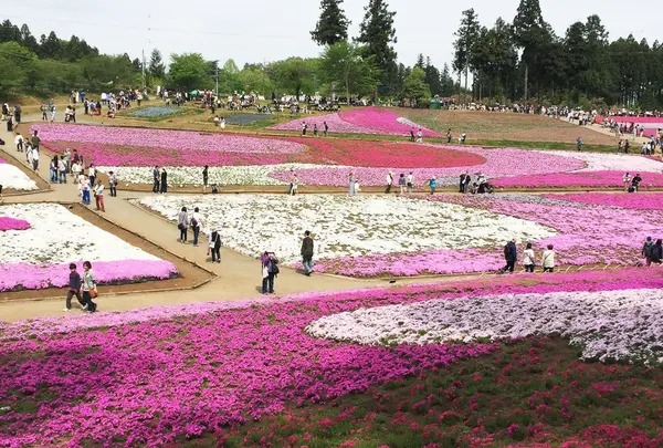 羊山公園