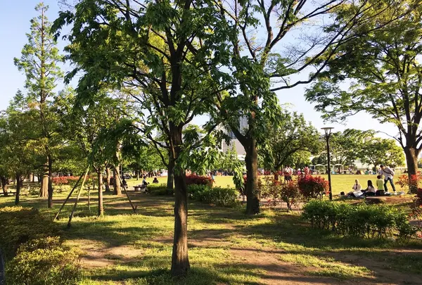 豊洲公園の写真・動画_image_235437