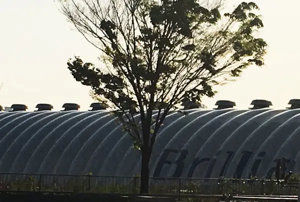 新豊洲Brilliaランニングスタジアム