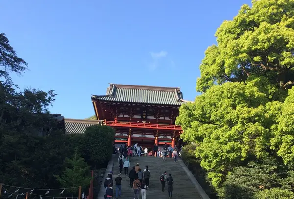 鶴岡八幡宮の写真・動画_image_235791