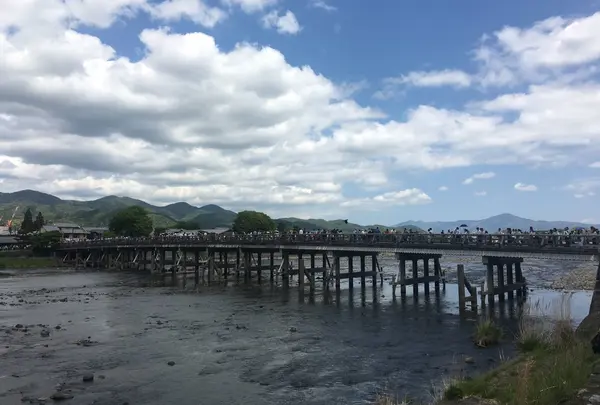 嵐山公園の写真・動画_image_235861