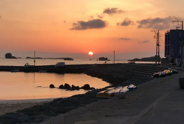 ペットと泊まる伊豆下田温泉宿 晴レ屋