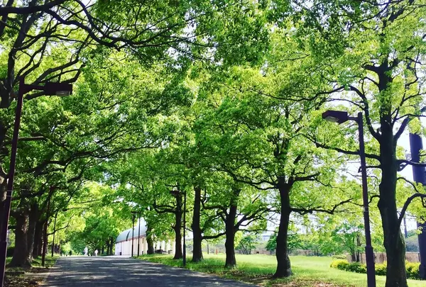 大井埠頭海浜公園