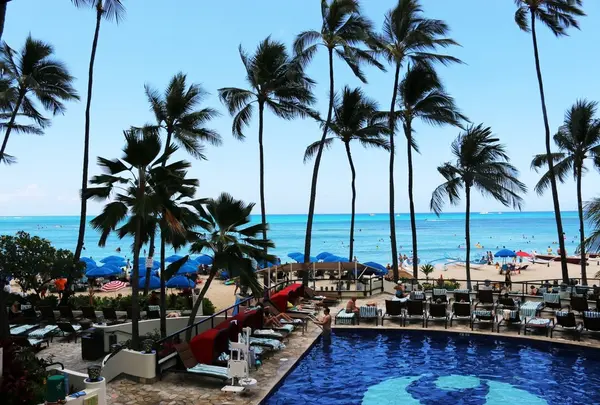 Hula Grill Waikikiの写真・動画_image_236150