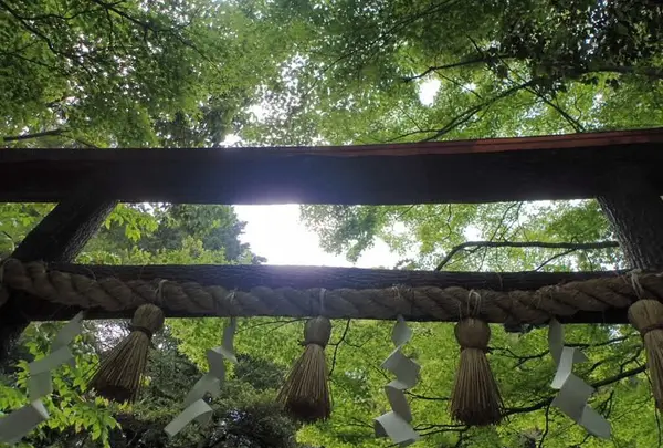 野宮神社