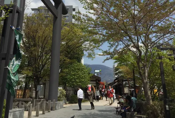 縄手通りの写真・動画_image_236301