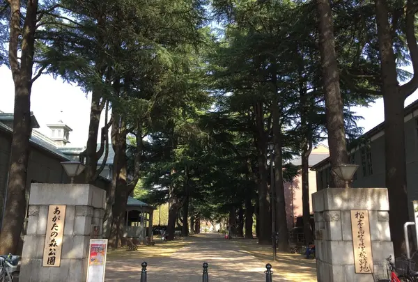 あがたの森公園の写真・動画_image_236312