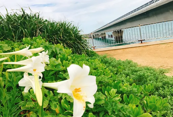 池間島