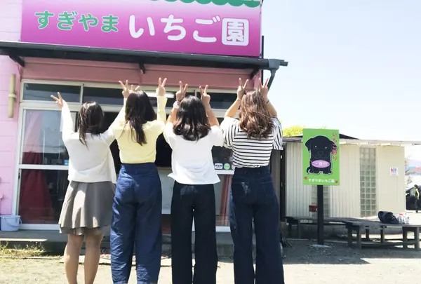 すぎやまいちご園