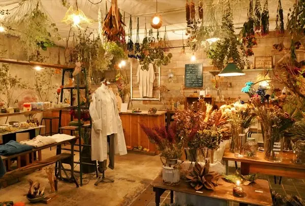 ドライフラワーと暮らしのお店 その灯ぐらし猫洞店