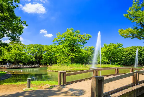 代々木公園